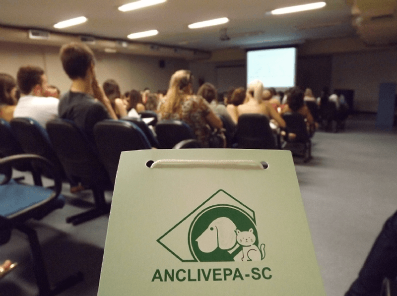 Programação Dermatologia